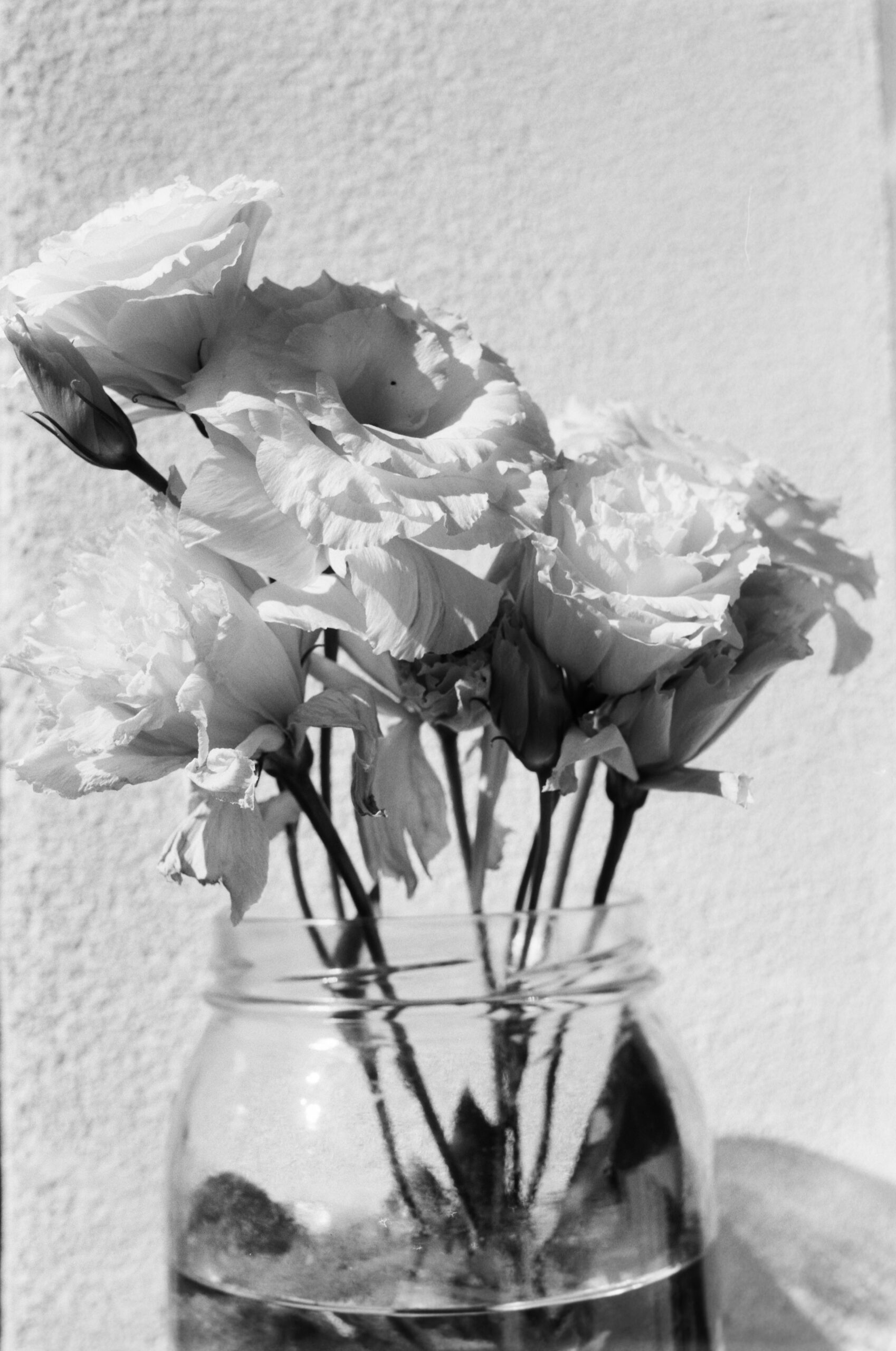 Пример фотографии на фотоплёнку ADOX HR-50 + Canon EOS 3000V + Canon STM 40mm F/2.8